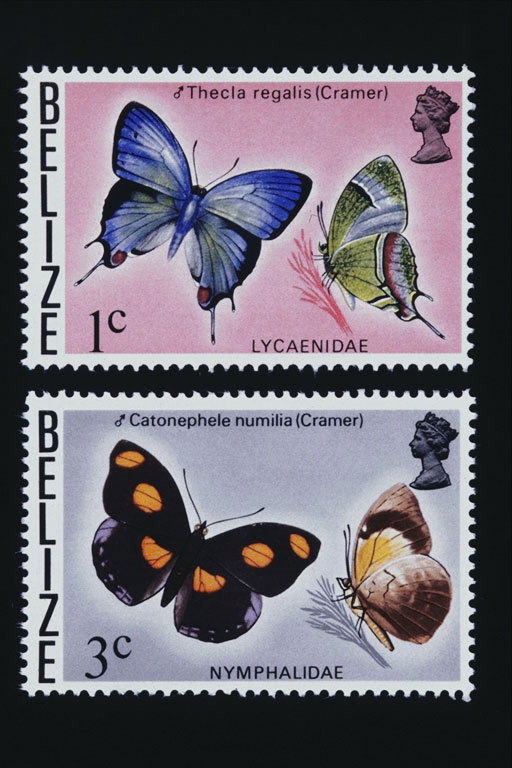 Марки с картинками бабочек. Бабочка с фиолетовыми крылышками и бабочка с черными крыльями в оранжевые круги