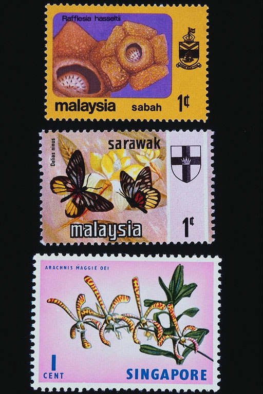 Растения и бабочки на марках