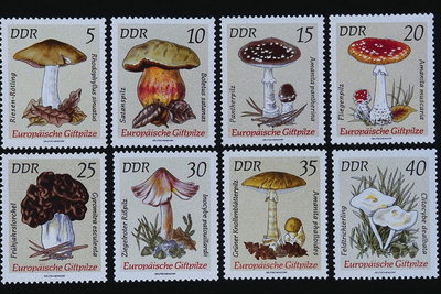 Коллекция марок с рисунками грибов