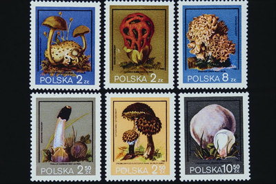 Разновидности грибов на марках
