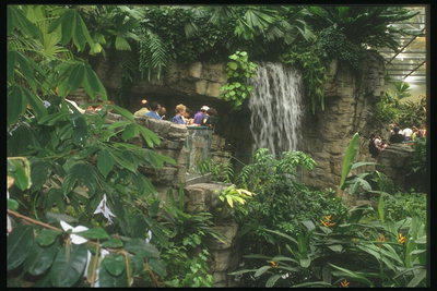 Дети наблюдают за водопадом
