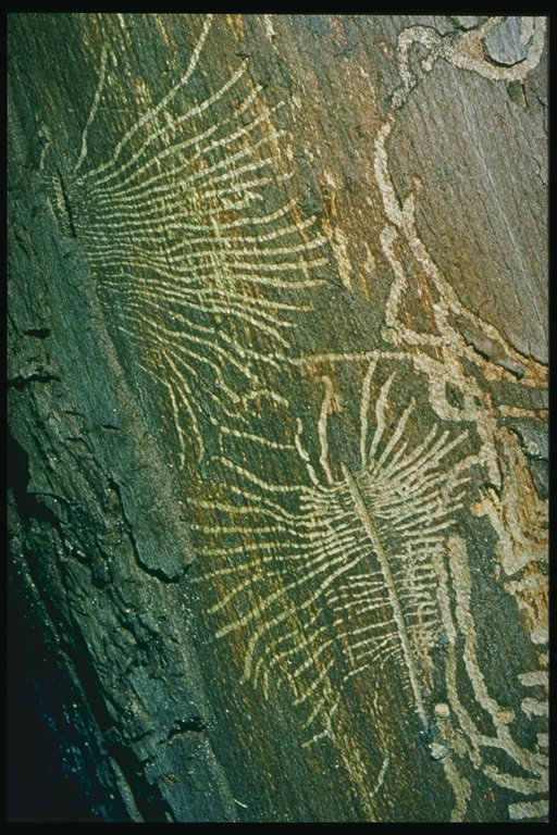 Teksturen af sten - arkæologiske udgravninger