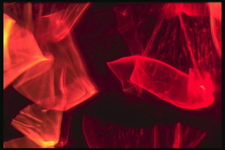 Прозрачно-красная текстура в виде медузы