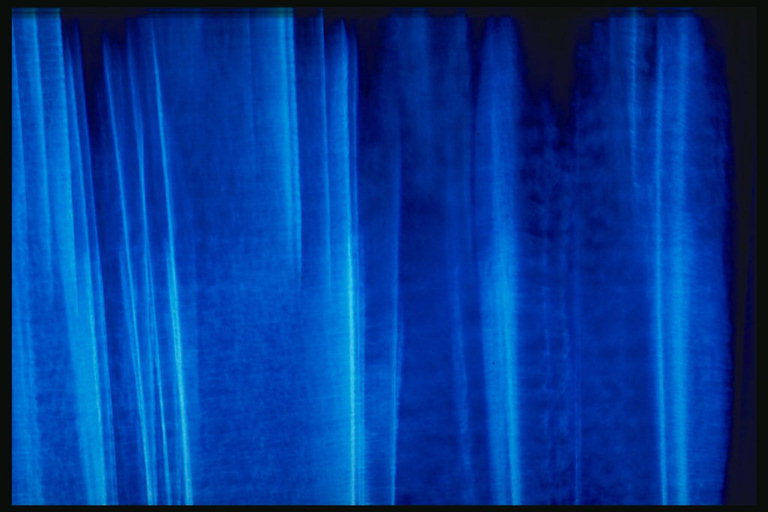 Синяя текстура формы висящей шторы