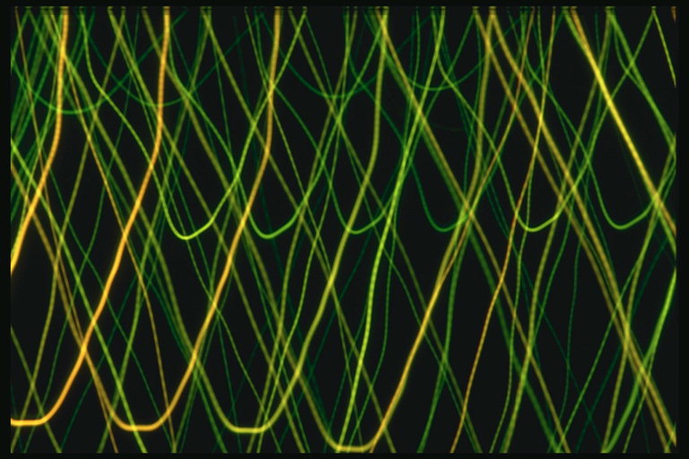 Текстура в форме сети зелёно=жёлтой тональности