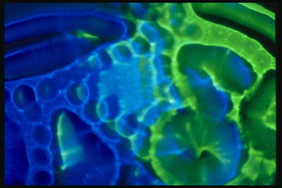 Зелёно-синяя пористая структура поверхности текстуры