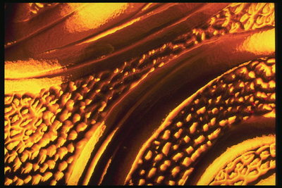 Тема текстури - ювелірні та золоті вироби на археологічних розкопках