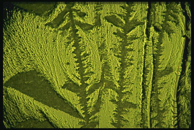 Текстура твёрдого материала с рисунком в зелёных тонах