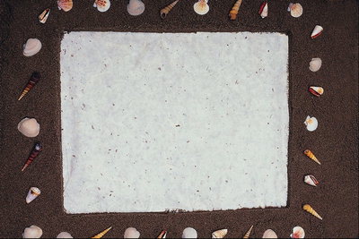Темно-коричневая рамка с ракушками