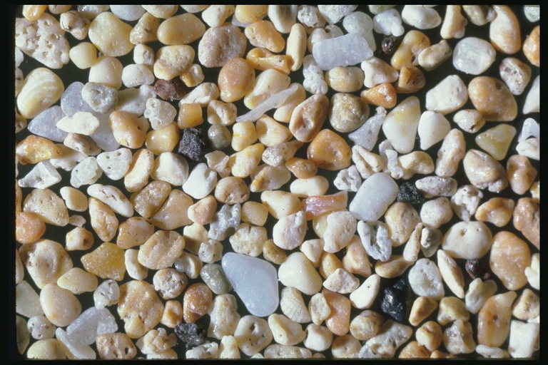 Плотный ковер камней на берегу моря