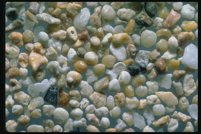 Разнообразие морских камней