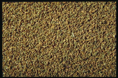 Семена темно-зеленого и коричневого тонов