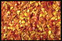 Золотистые зерна и красные листья