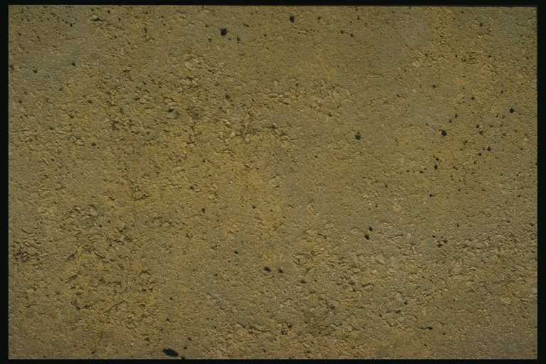 Мелкие углубления на поверхности коричневого цвета