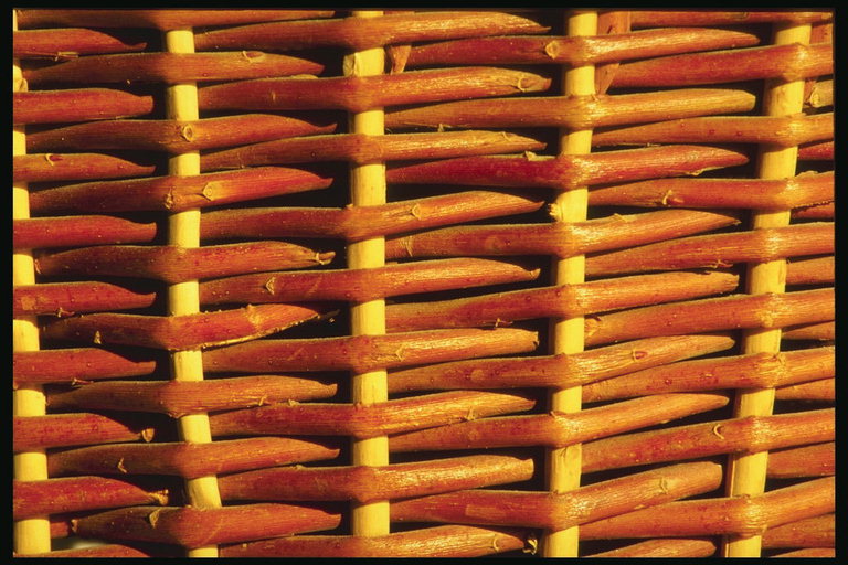 Мистецтво плетіння кошиків з лози