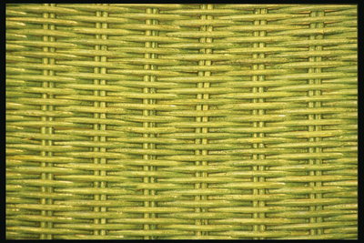 Структура плетения из  прутьев зелёной лозы
