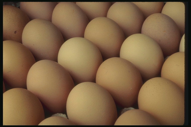 Os ovos de galiñas nunha bandexa