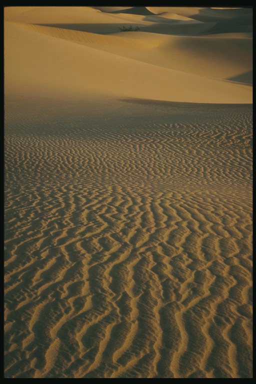 Гребни песчаных волн пустыни