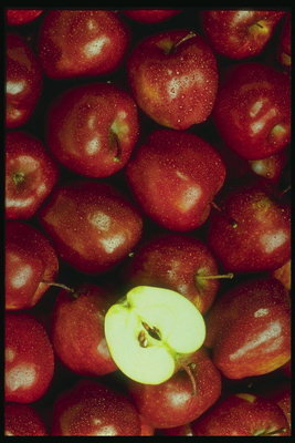 Красные спелые яблоки