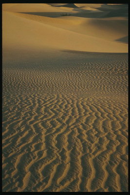 Гребни песчаных волн пустыни