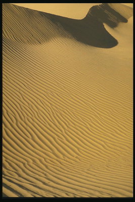 Рисунки на песчаных морях пустыни