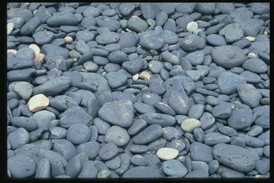 Галька. Серовато-голубой тон камней