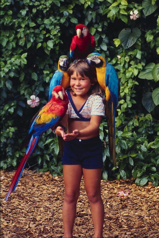 Девочка с папугаями