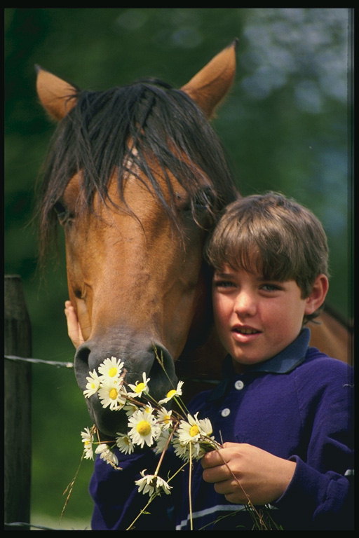 Момче с кон