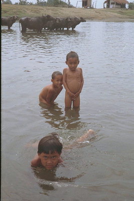 Crianças nadando no rio