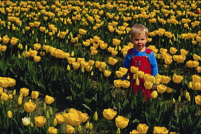 Мальчик цветочном поле
