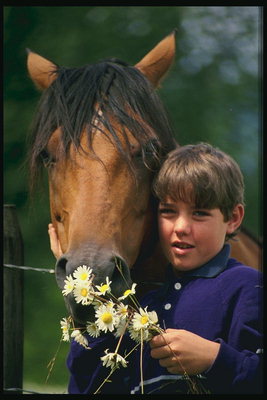 लड़का घोड़े के साथ