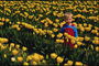 Мальчик цветочном поле