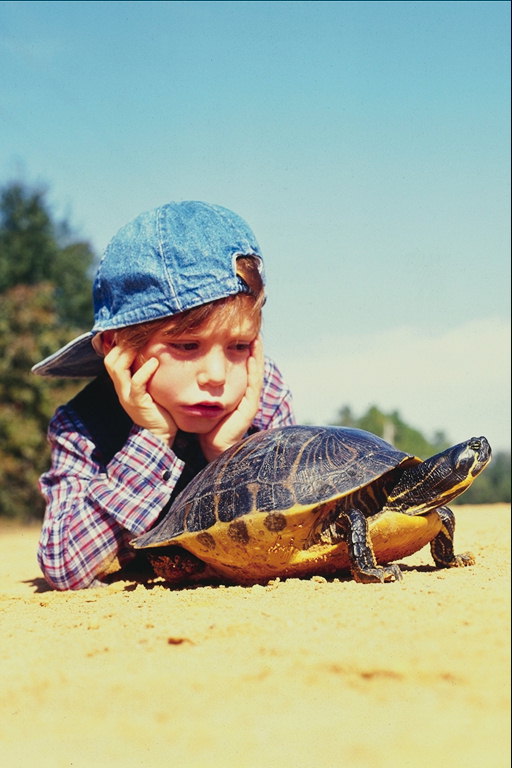 En dreng i jeans cap monitorer skildpadde