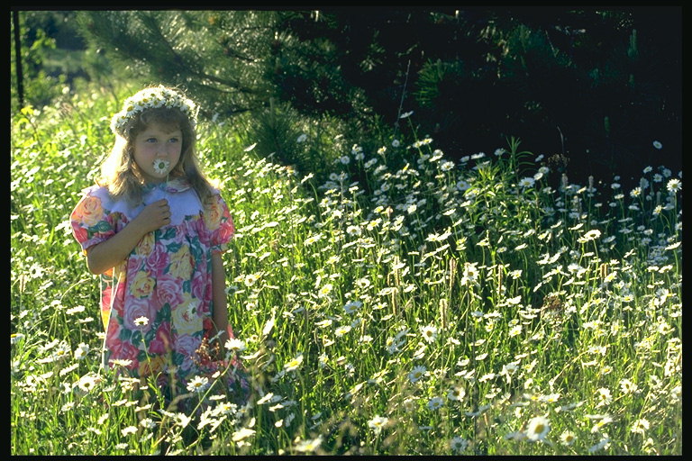 Het kleine meisje in een bloem weide