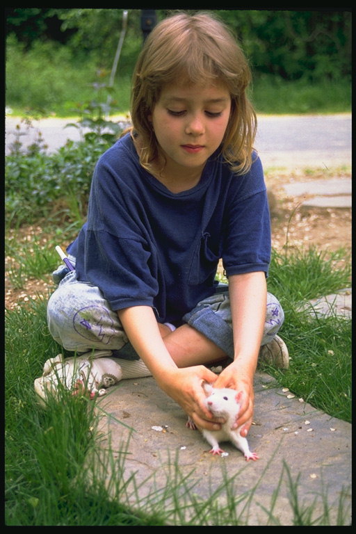 Meitene ar jūrascūciņām