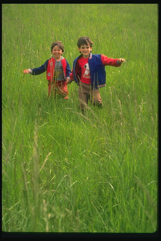 Children are among the high green grass