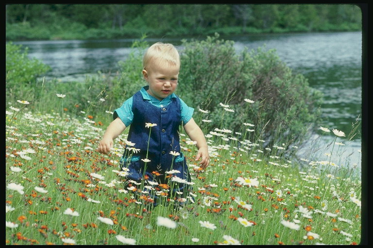 Seorang anak di lapangan bunga