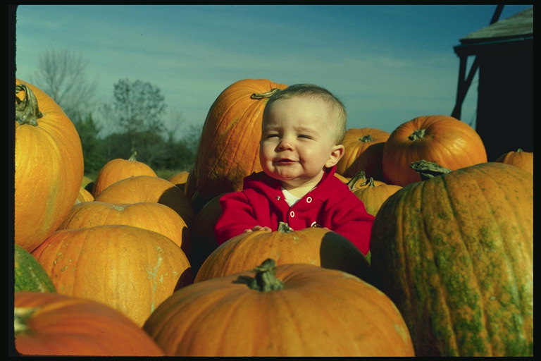 A dziecko dojrzałe i duże pumpkin