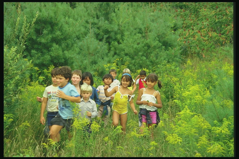 Fëmijët ecin në mesin e gjelbërim e natyrës