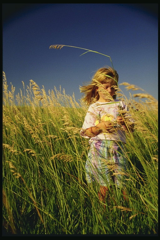 Девочка в высокой траве