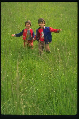 Copiii sunt printre înalt iarba verde
