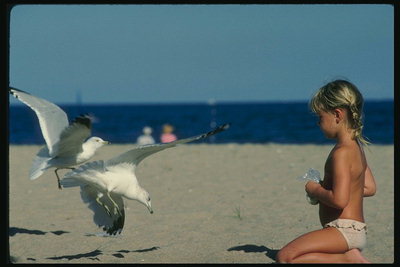 女孩和海鸥