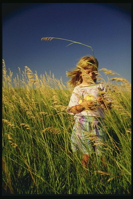 Dívka ve vysoké trávě