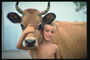 Boy og Cow