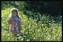 Väike tüdruk lillega heinamaaks