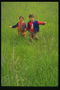 Children are among the high green grass