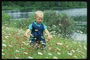 Một đứa trẻ trong lĩnh vực hoa
