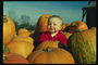 Một đứa trẻ lớn và chín của pumpkin