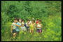 Trẻ em đi bộ giữa các greenery của thiên nhiên
