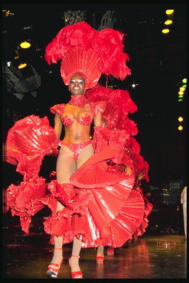 Carnaval kostuum. Adorable weefsels